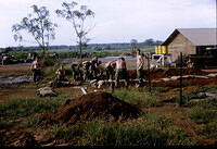 009 Filling sandbags for trenches